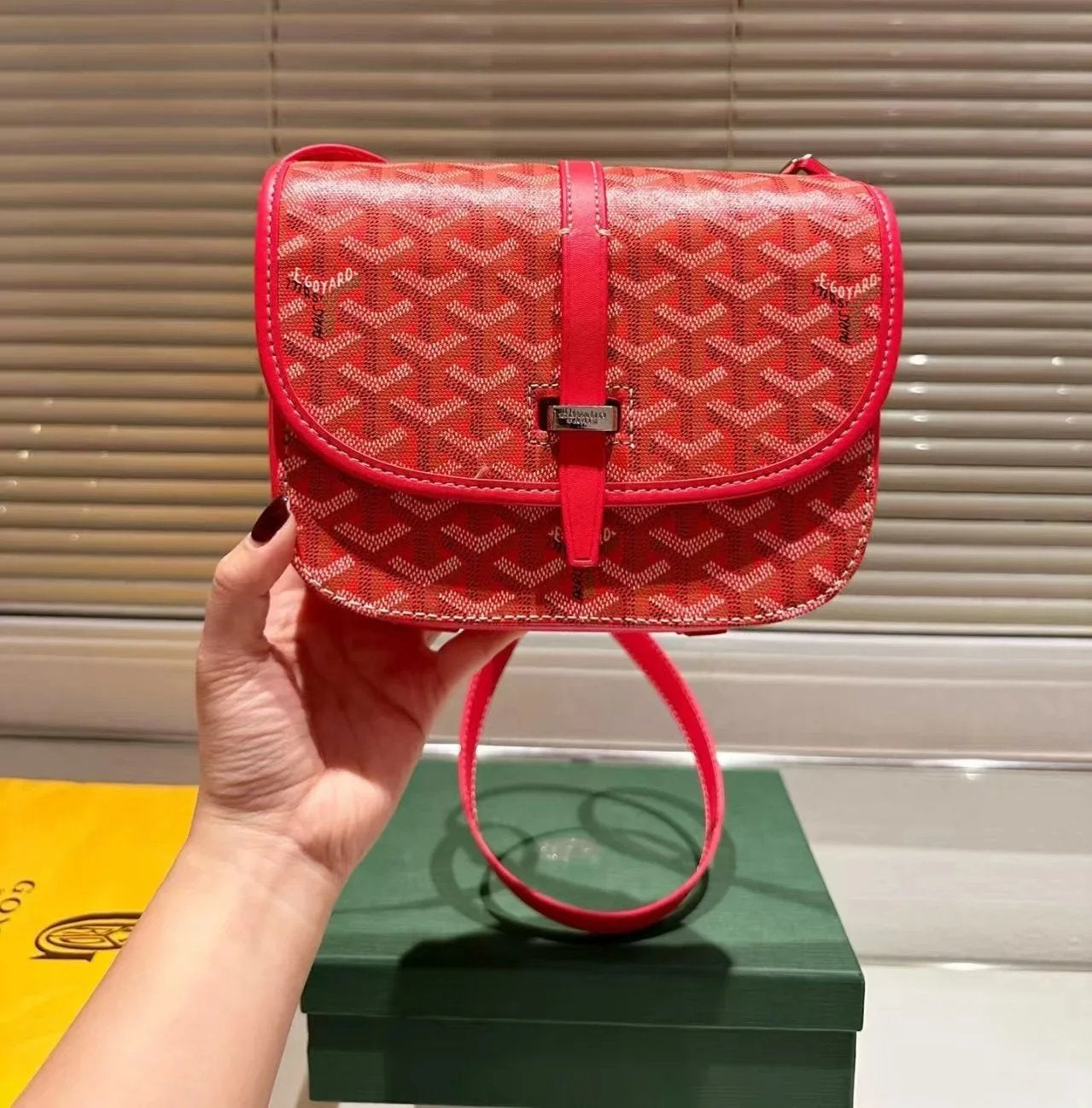 Goyard Bag