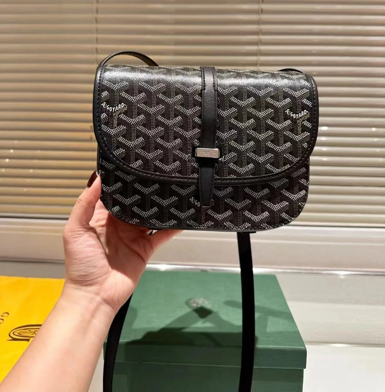 Goyard Bag