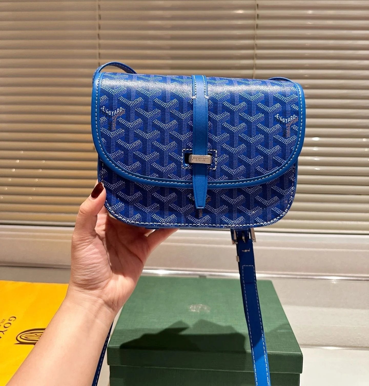 Goyard Bag
